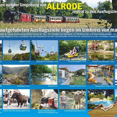 Ferienanlage Harzfreunde Allrode Ngoại thất bức ảnh